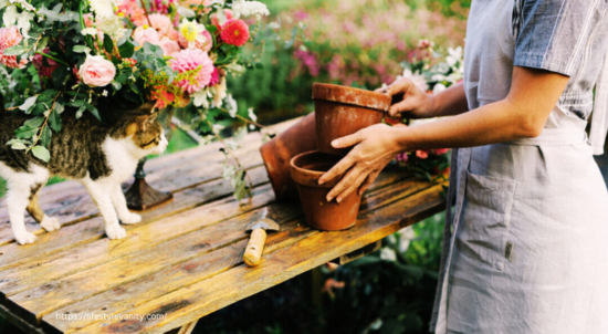 Plant and Flora